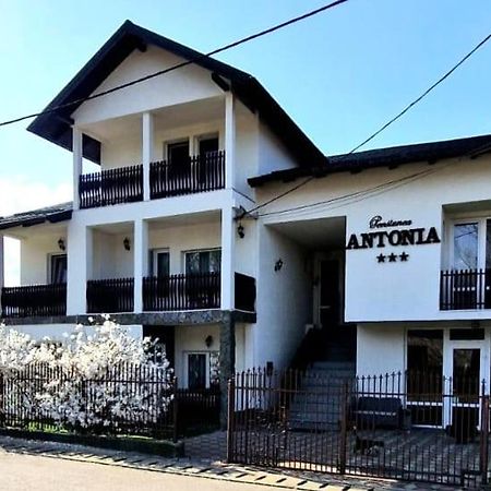 Pensiunea Antonia Vatra Dornei Bagian luar foto