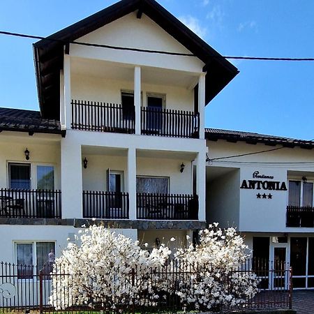 Pensiunea Antonia Vatra Dornei Bagian luar foto