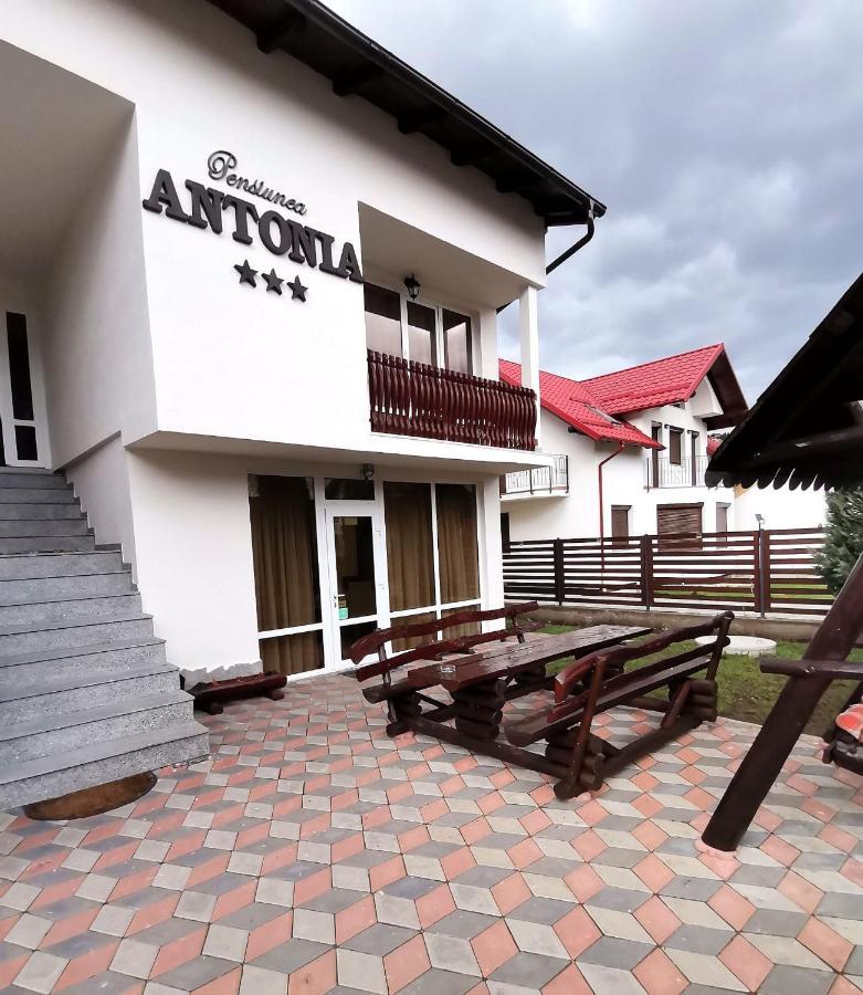 Pensiunea Antonia Vatra Dornei Bagian luar foto