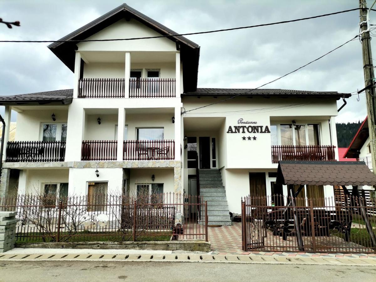 Pensiunea Antonia Vatra Dornei Bagian luar foto