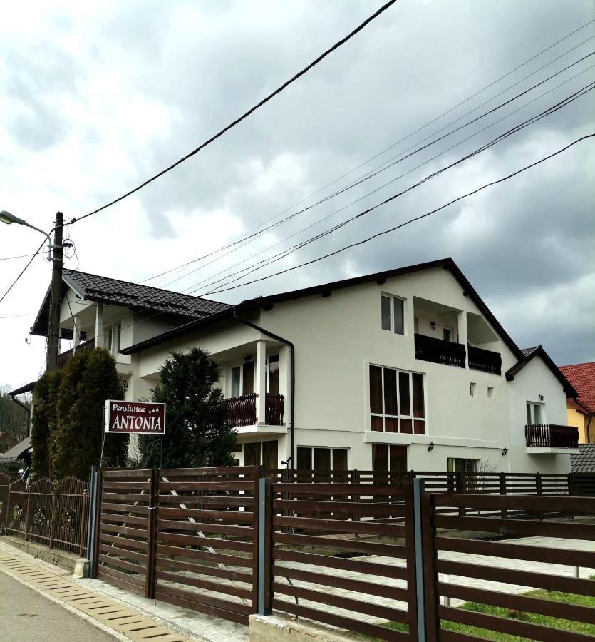 Pensiunea Antonia Vatra Dornei Bagian luar foto
