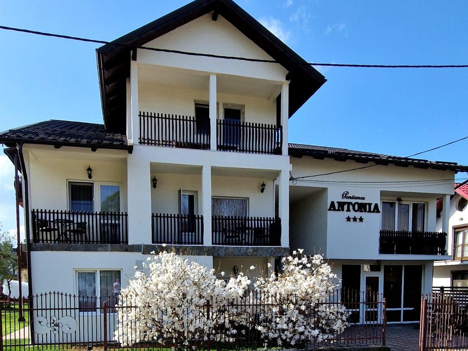 Pensiunea Antonia Vatra Dornei Bagian luar foto