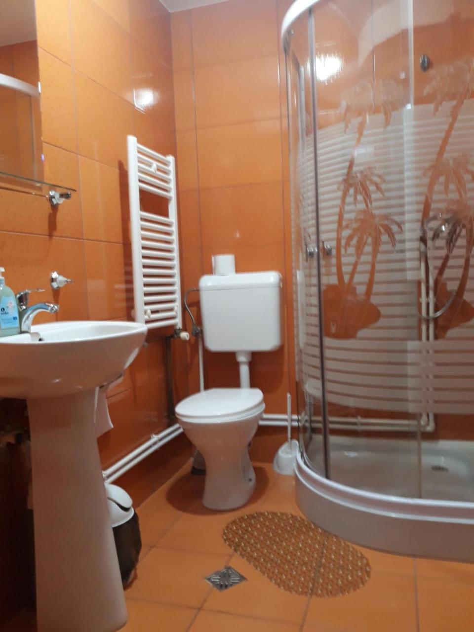 Pensiunea Antonia Vatra Dornei Bagian luar foto